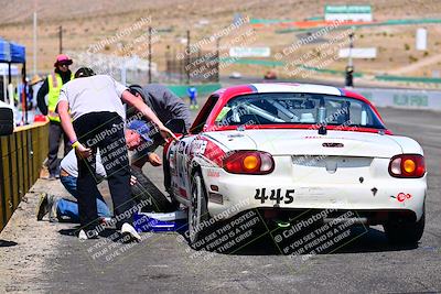 media/May-04-2025-Lucky Dog Racing (Sun) [[21629467aa]]/Around the Pits/